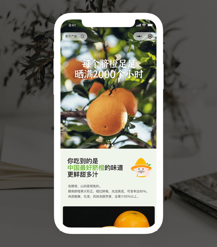 �����|jinnianhui����ᡤ(��������)�������Ϲ���